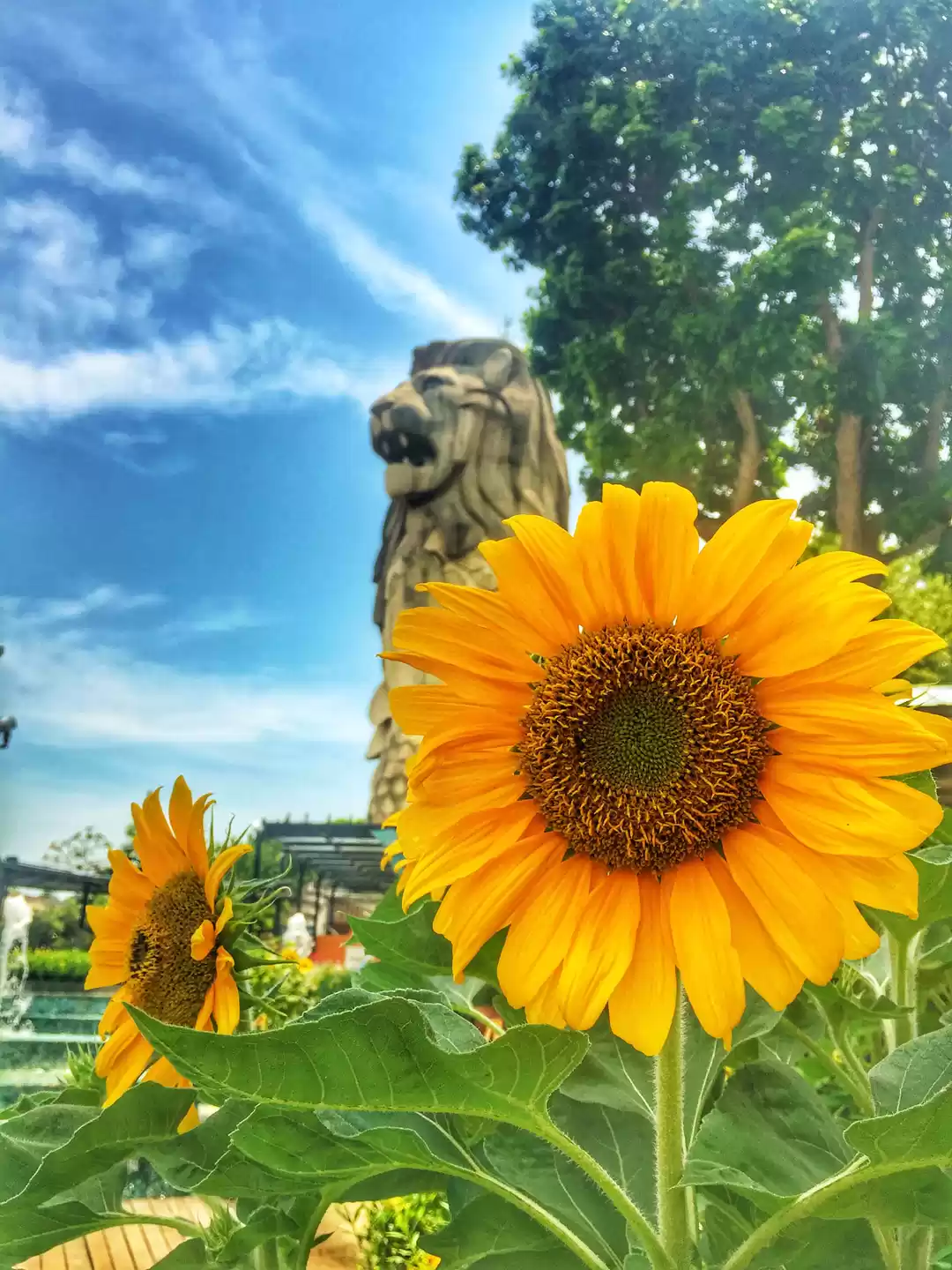 Photo of Merlion statue & the