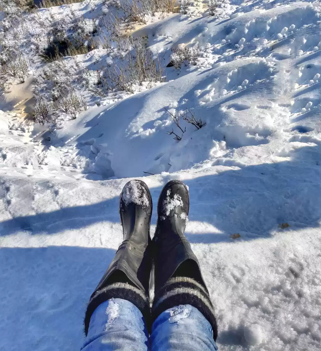 Photo of Chilling and Snowy N