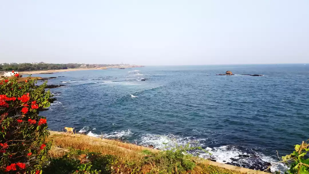 Photo of Paradise is a Breath