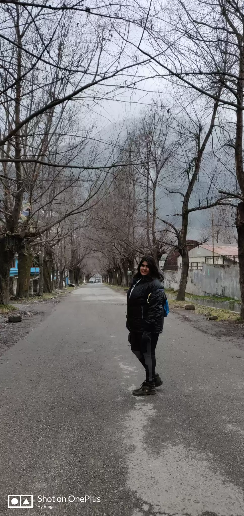 Photo of Journey to the land 