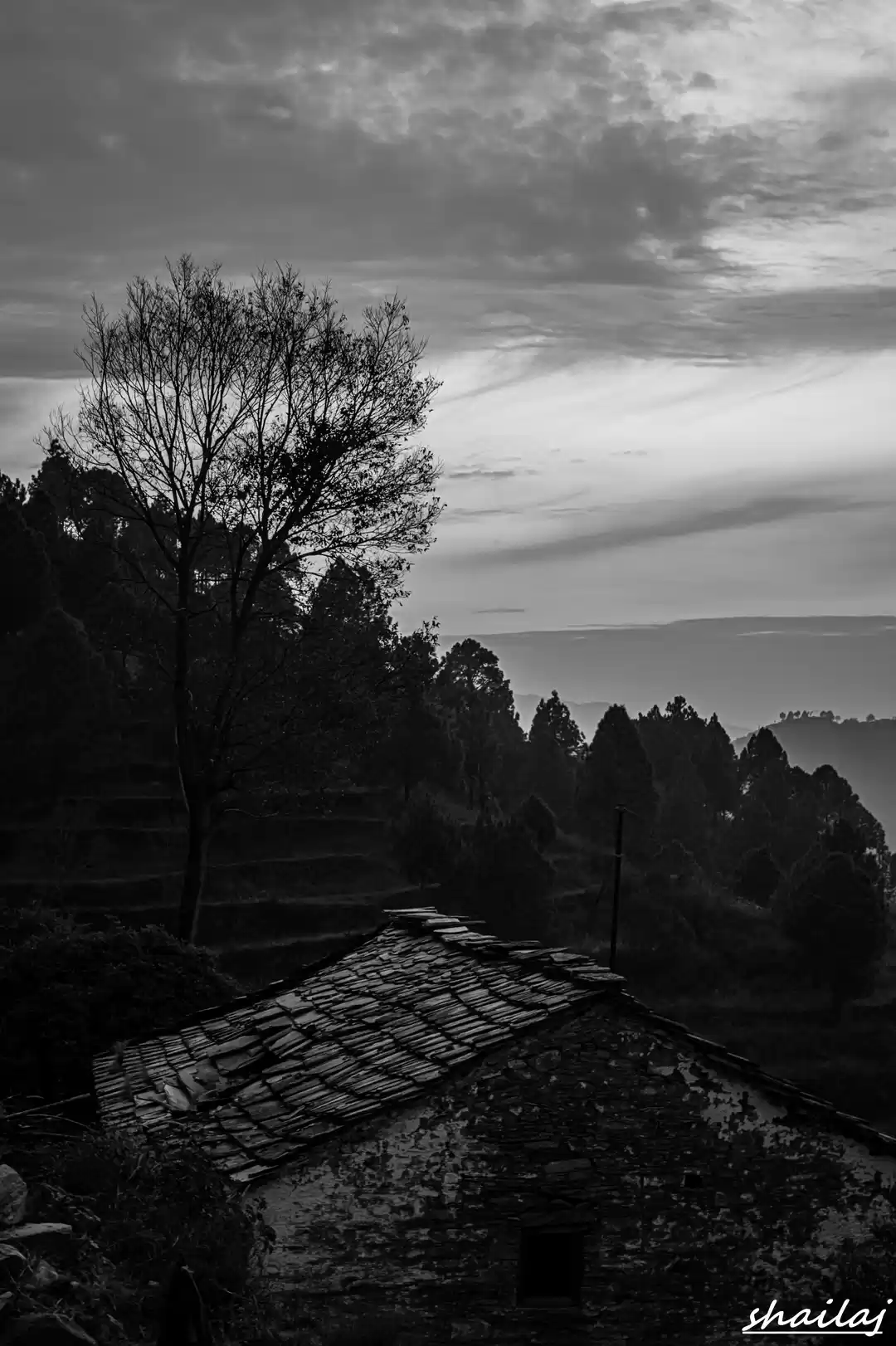 Photo of Bondul - A journey f