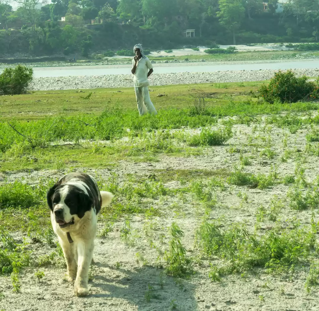 Photo of Homestay (pahadihous