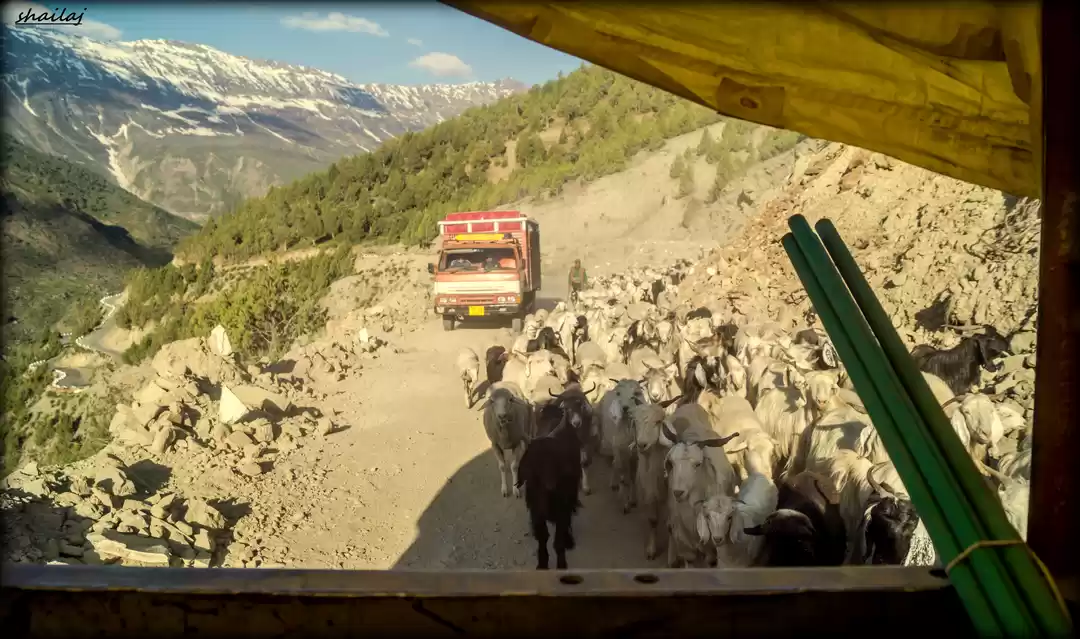 Photo of Hitchhiking through