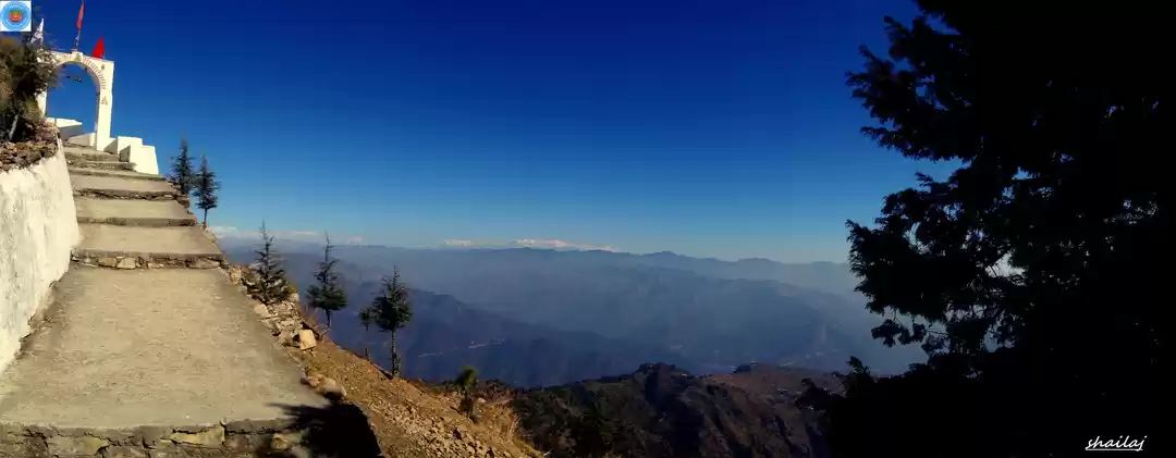 Photo of A meeting with natur