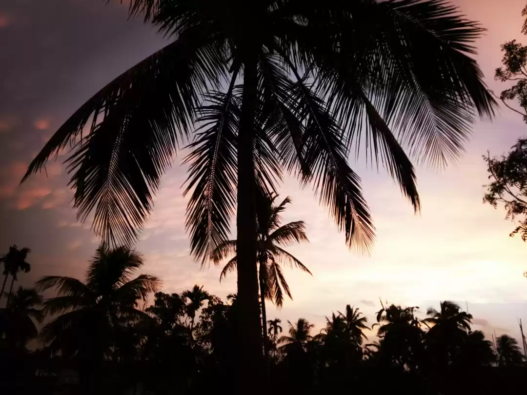 Photo of This is the ultimate