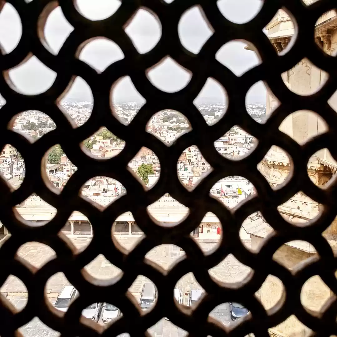 Photo of "Veiled royalty"