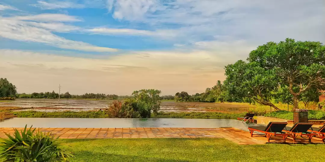 Photo of Yala National Park #