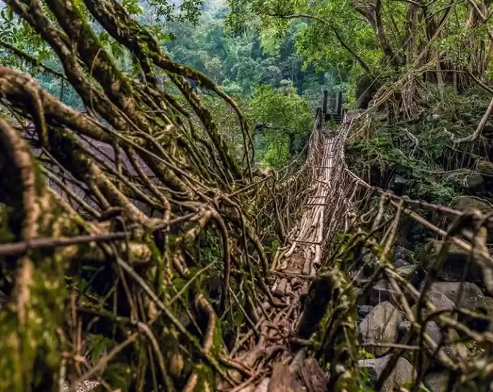 Photo of The heavenly Itinera