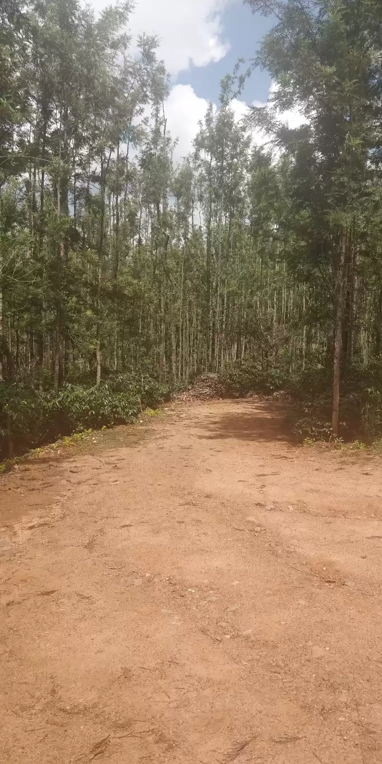 Photo of Chikmaglur- Land of 