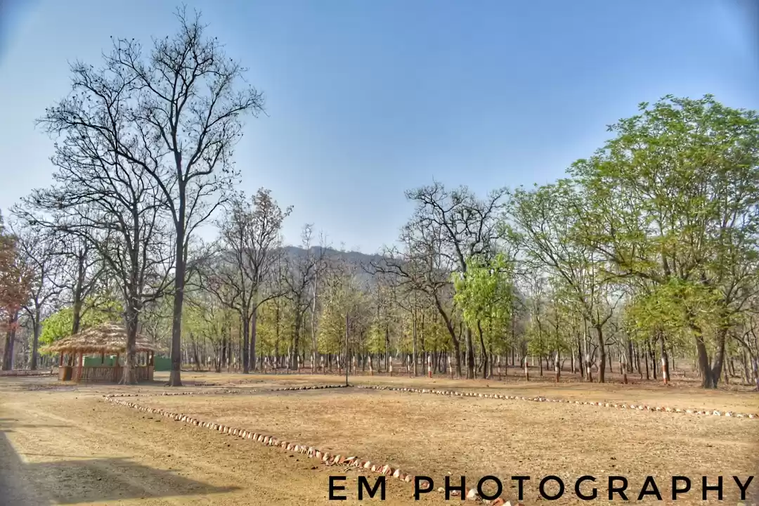 Photo of Star Gazing, inside 