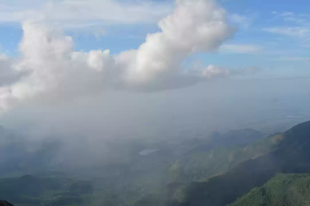 Photo of Trek to Kukkal fores