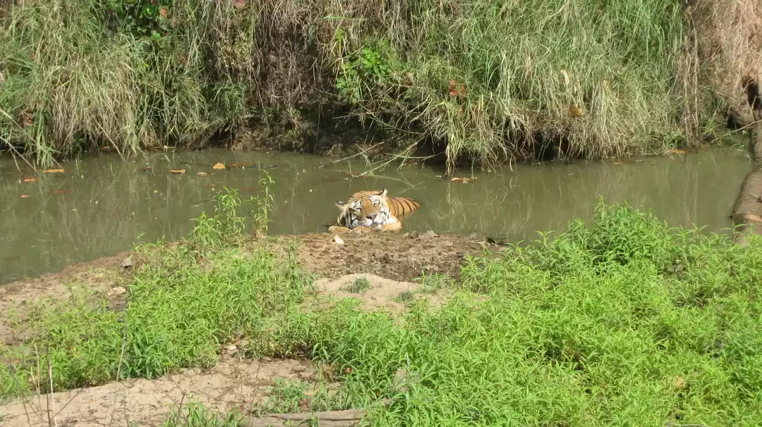 Photo of Kanha Tiger Reserve