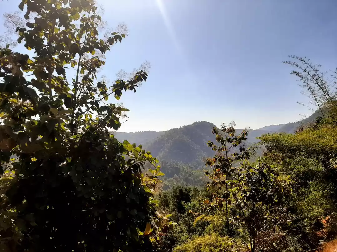 Photo of The good and bad to 