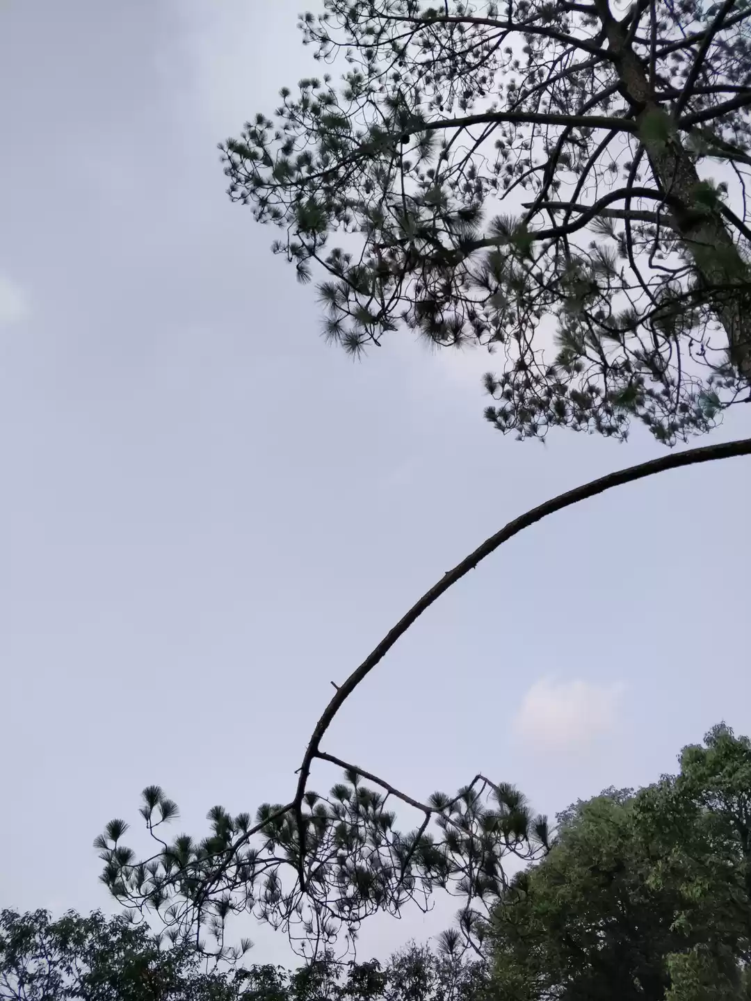 Photo of City of garhwal rifl