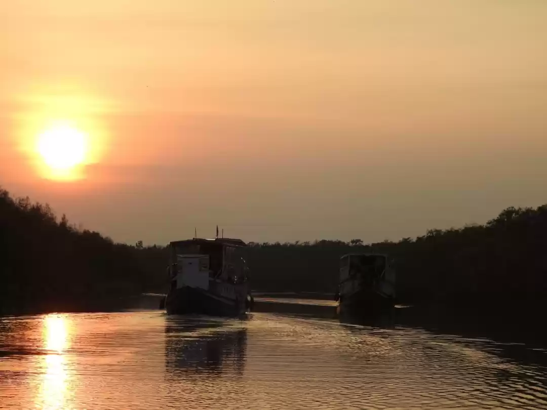 Photo of How is Sundarban Saf