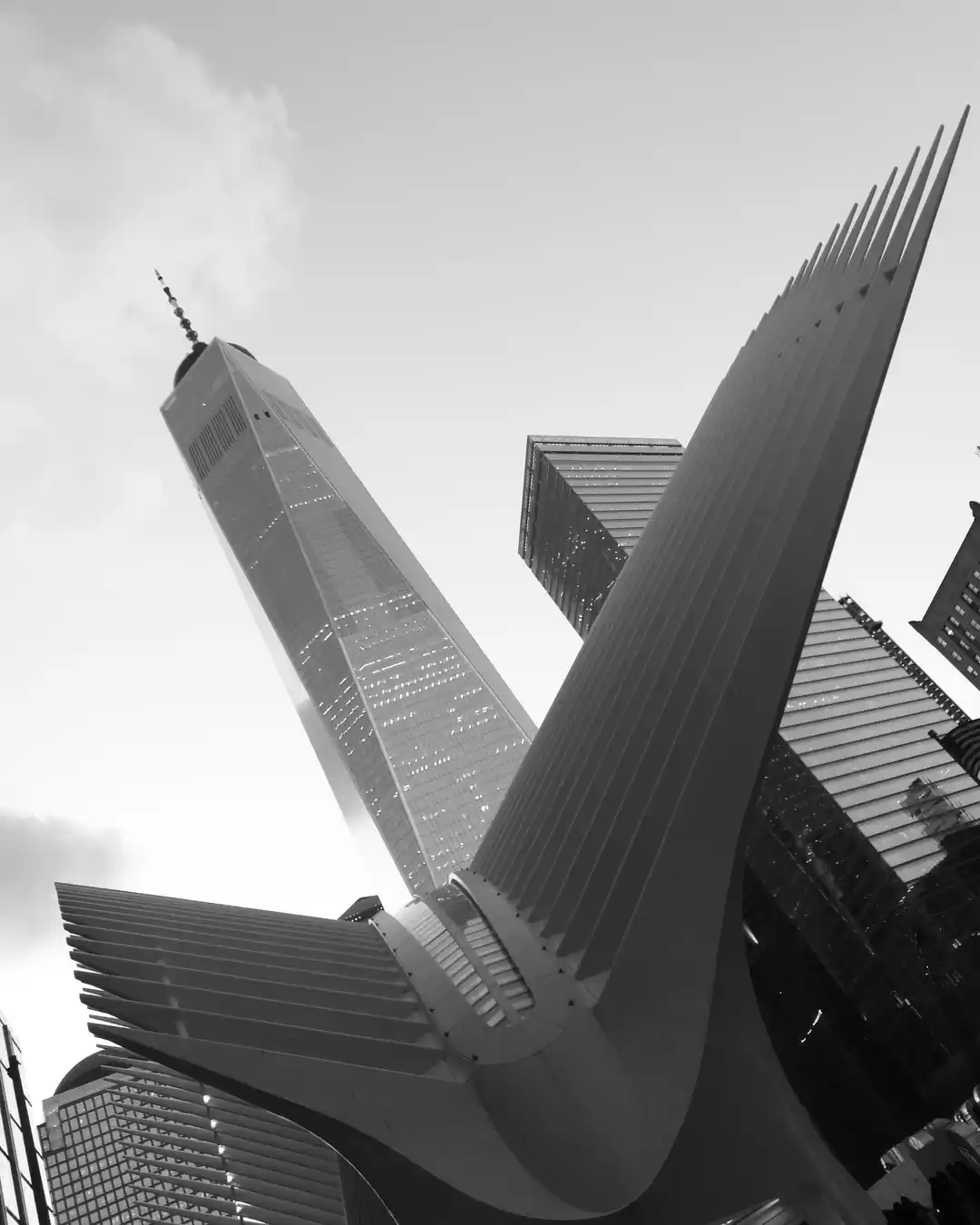 Photo of Monochrome Beauty! #