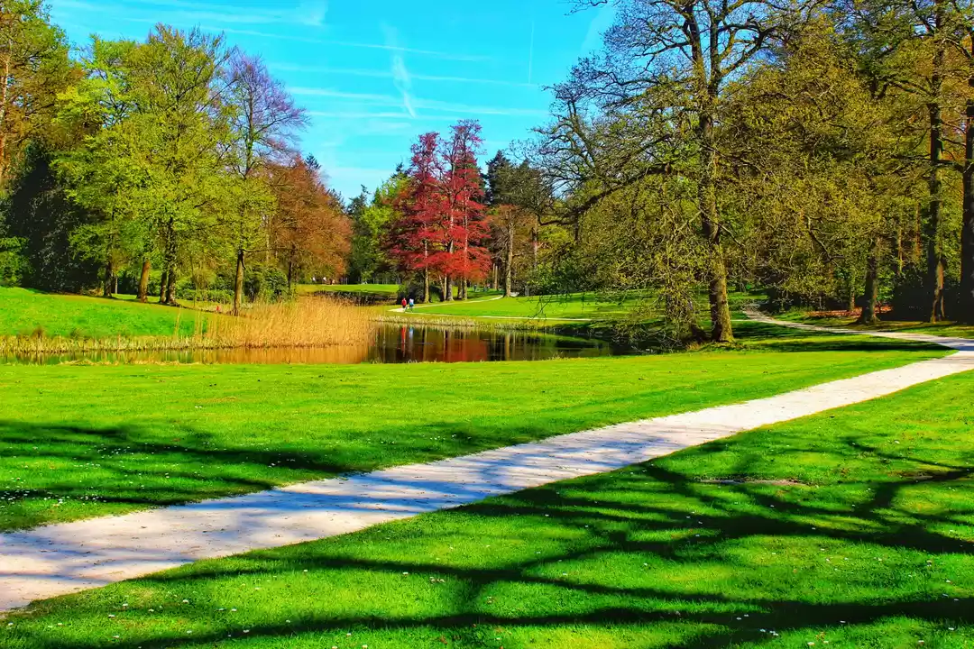 Photo of #zeist #amsterdam #t