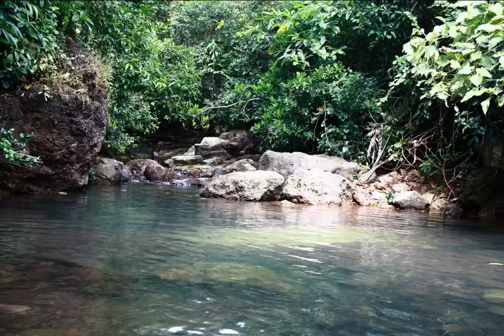 Photo of Goa's Hidden Gem #of