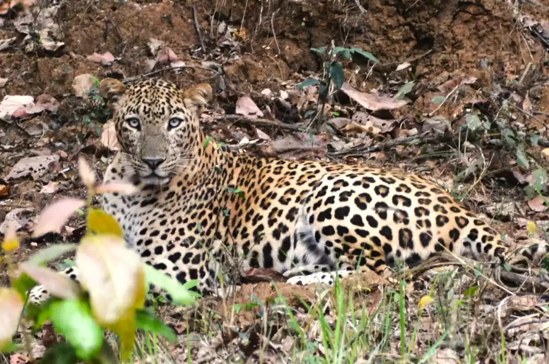 Photo of Must Visit Sanctuary