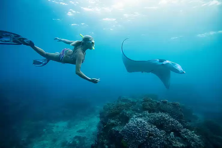 Photo of Snorkelling Water Ad
