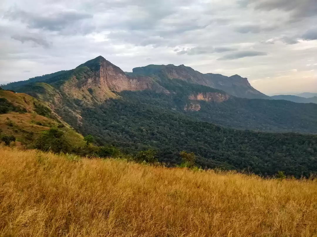 Photo of The beautiful view p