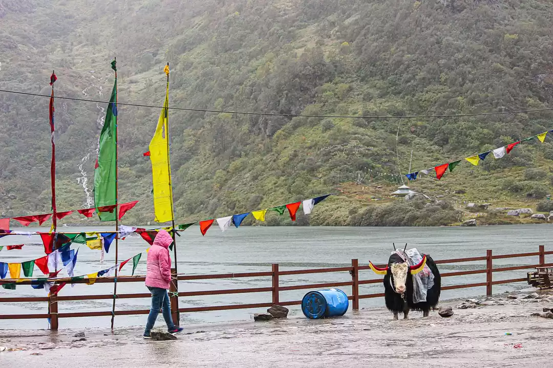 Photo of Unparalled beauty th