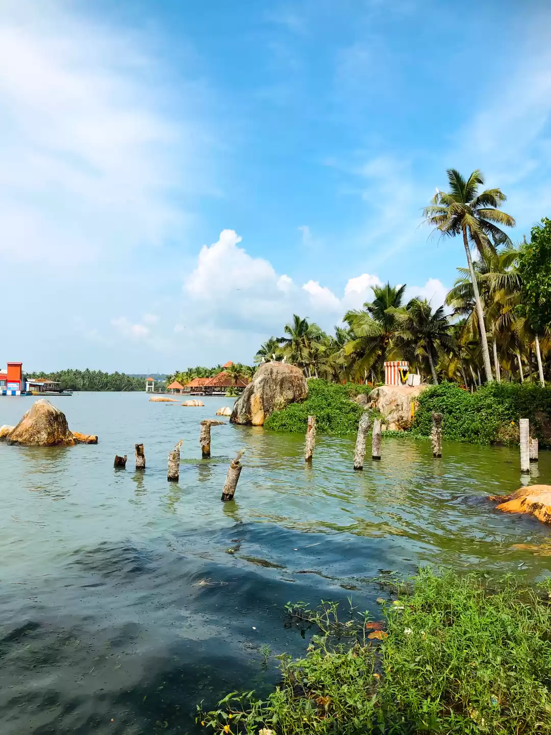 Photo of Get a Slice of Maldi