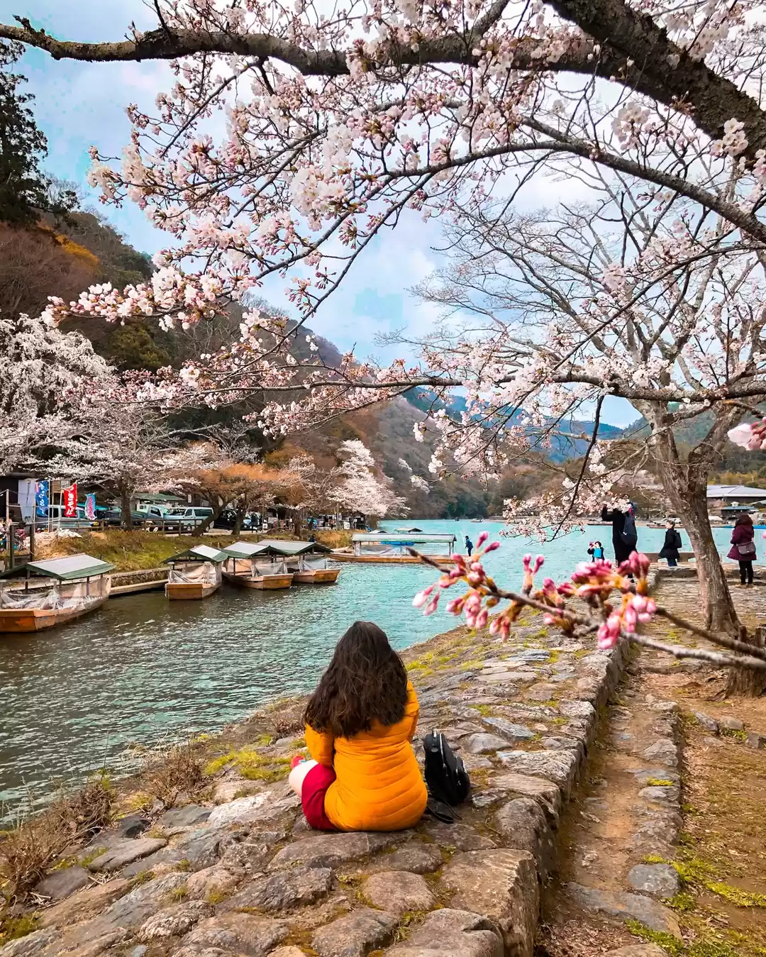 Photo of Don't miss these pla