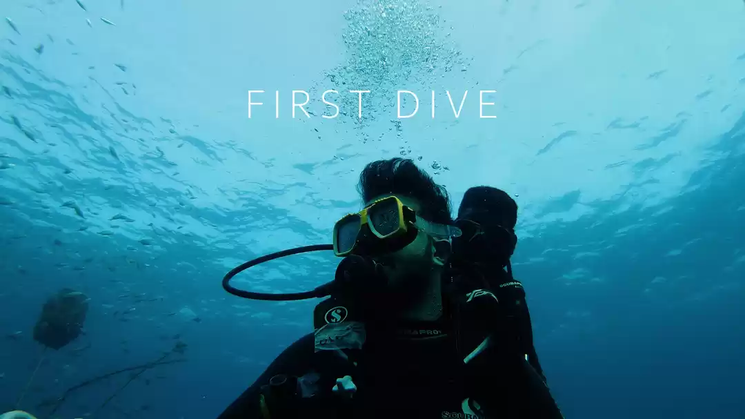 Photo of First Dive