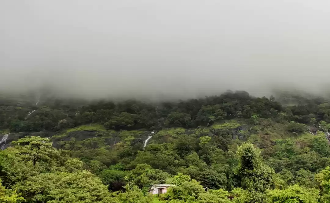 Photo of BHIMASHANKAR TREK VI