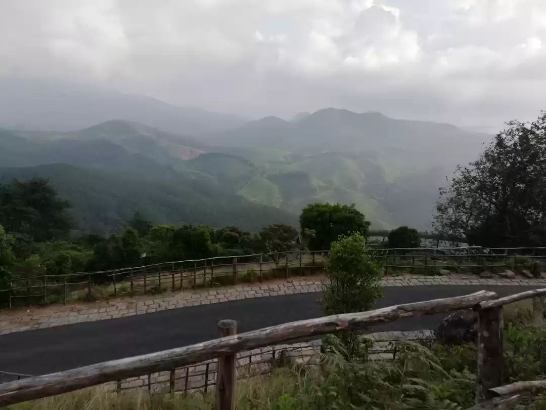 Photo of Munnar Calling? #not