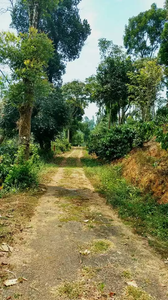 Photo of Ten Experiences That