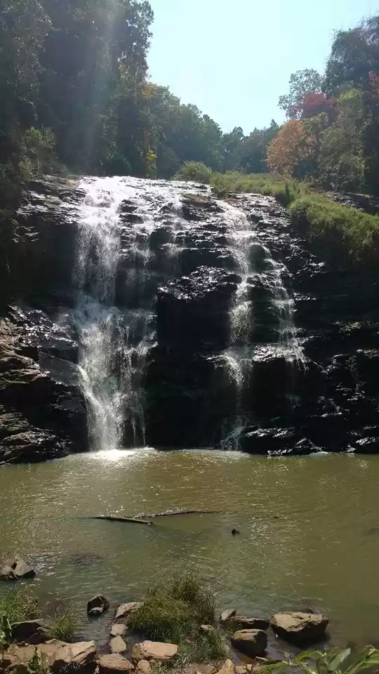 Photo of Organic Fiesta and W