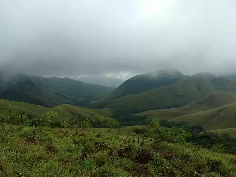 Photo of Enchanting Serendipi