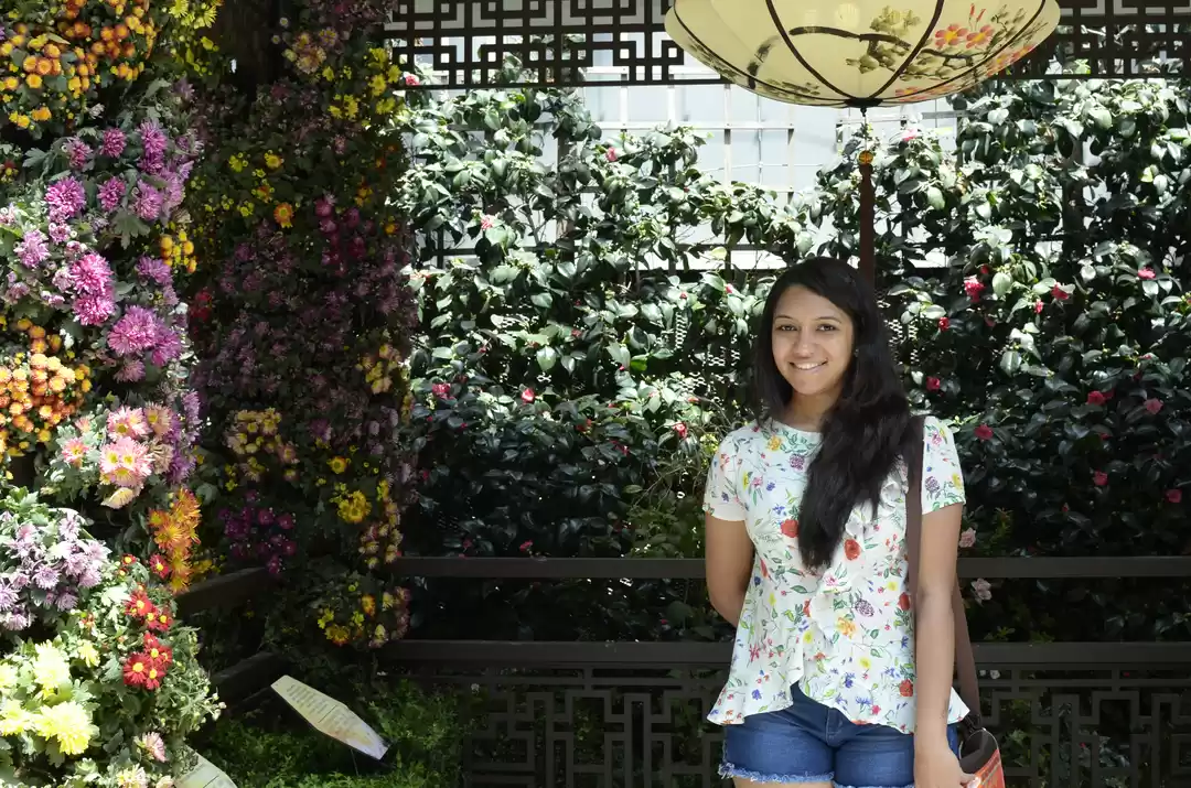 Photo of Sensational Singapor