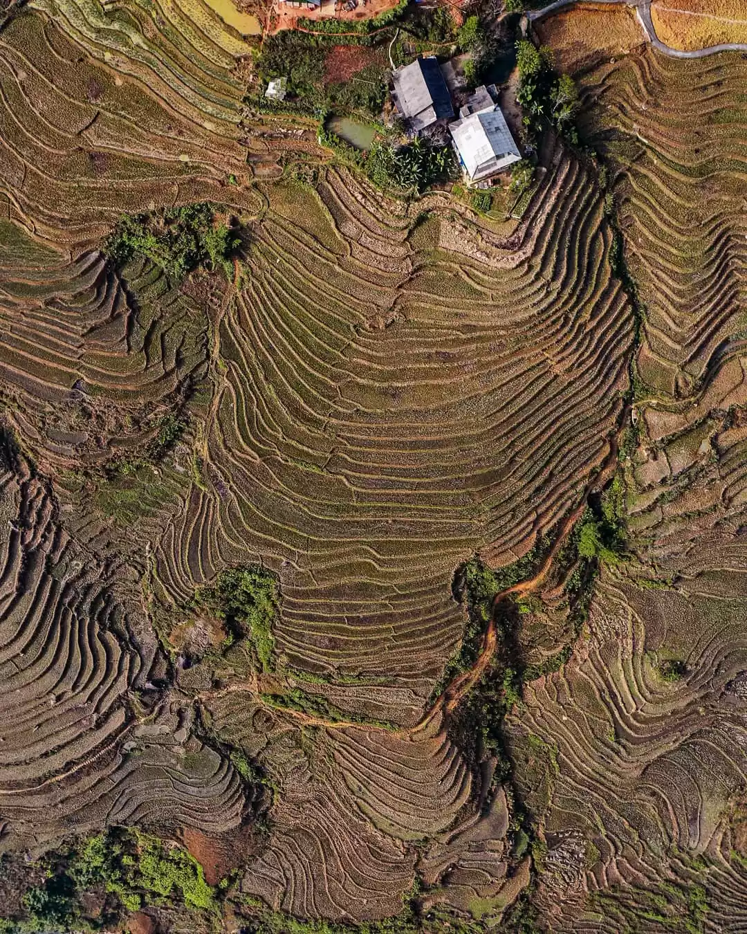 Photo of Sa Pa village snippe