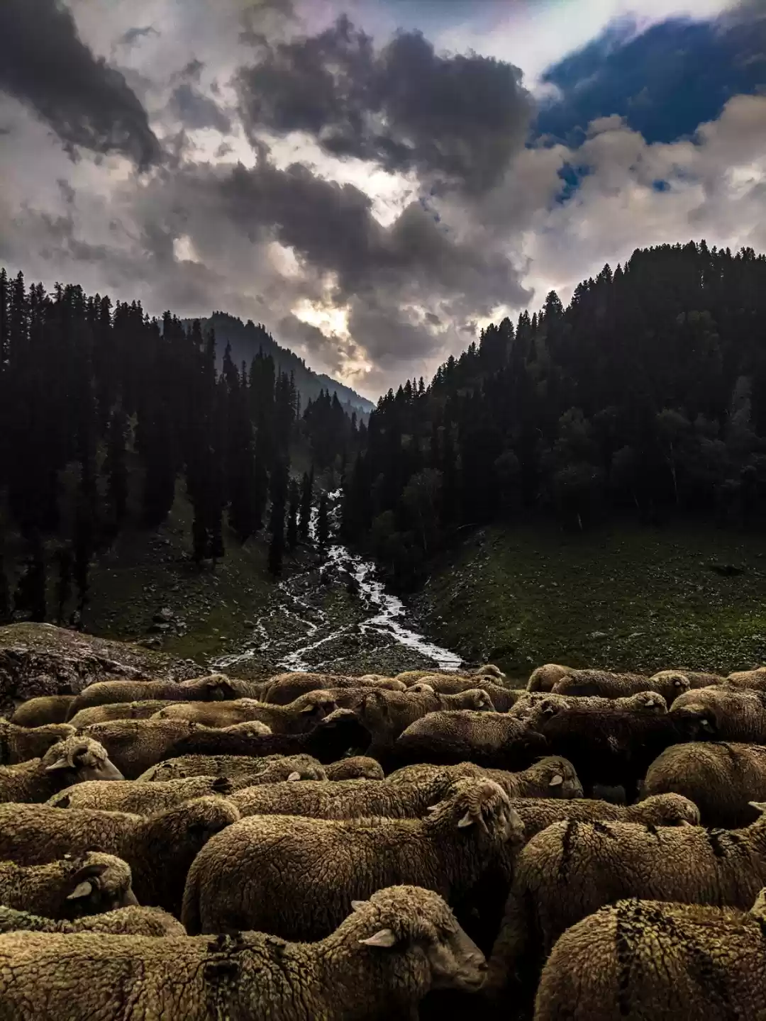 Photo of Amzaing Kashmir