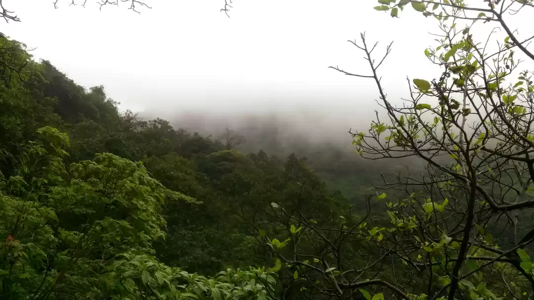 Photo of A day in tamahini gh