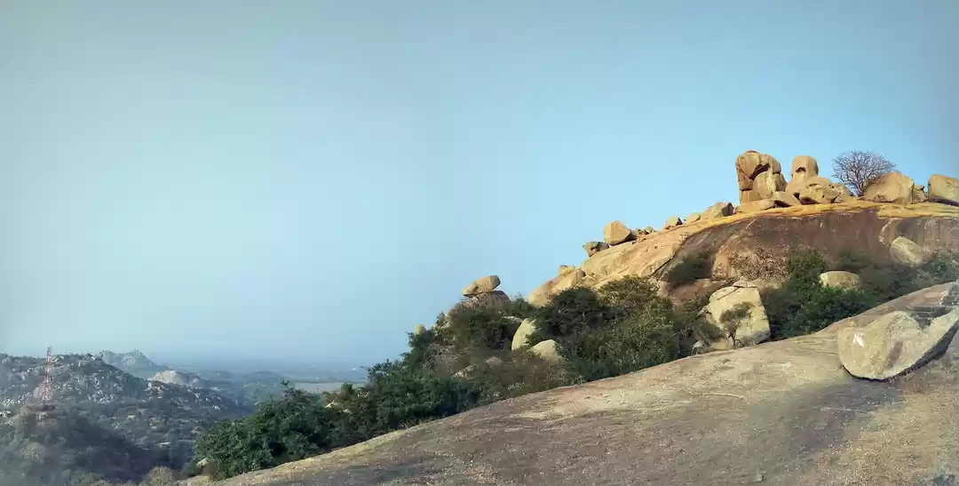 Photo of Trip to Taranga Hill