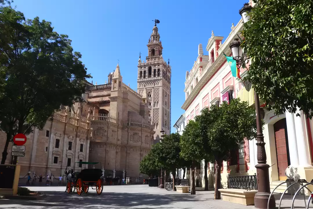 Photo of Serene Seville