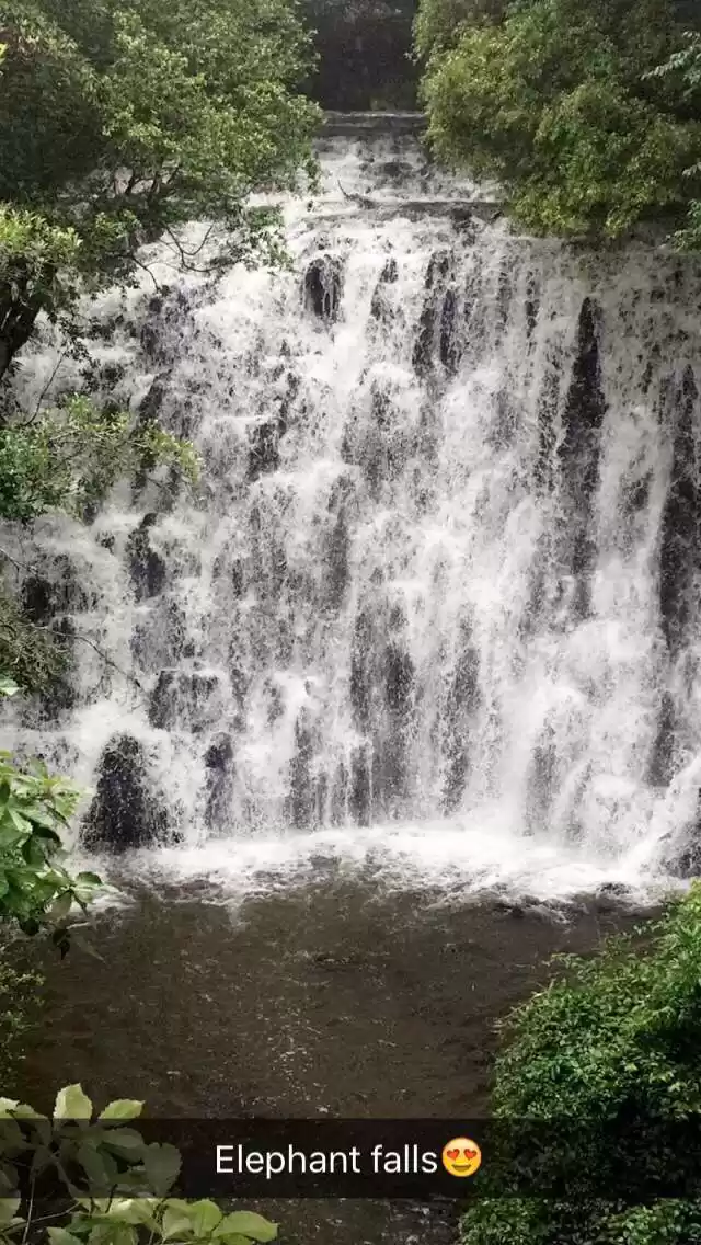 Photo of The Story behind Ele