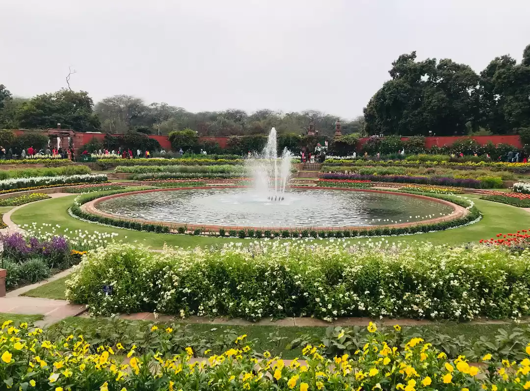 Photo of My Sunday Afternoon