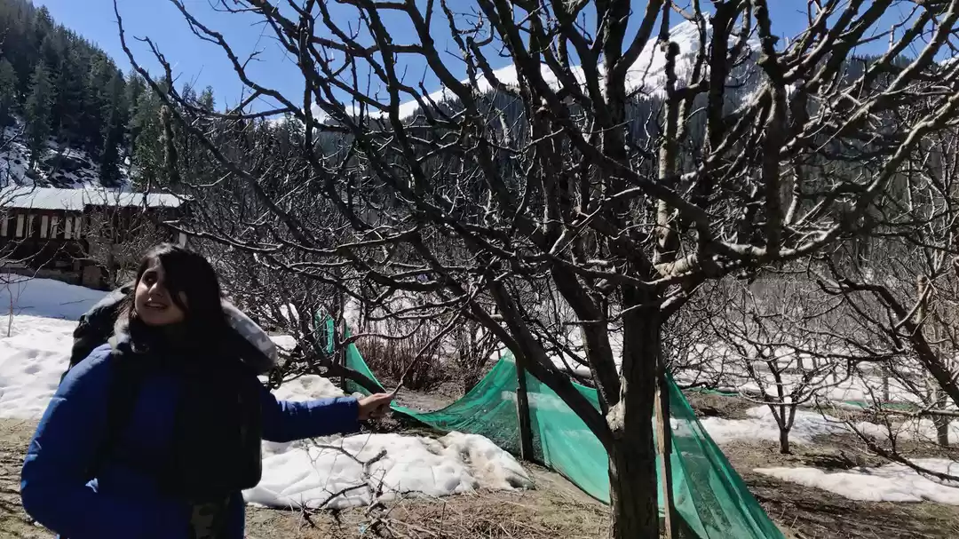 Photo of Our First Day in Kal