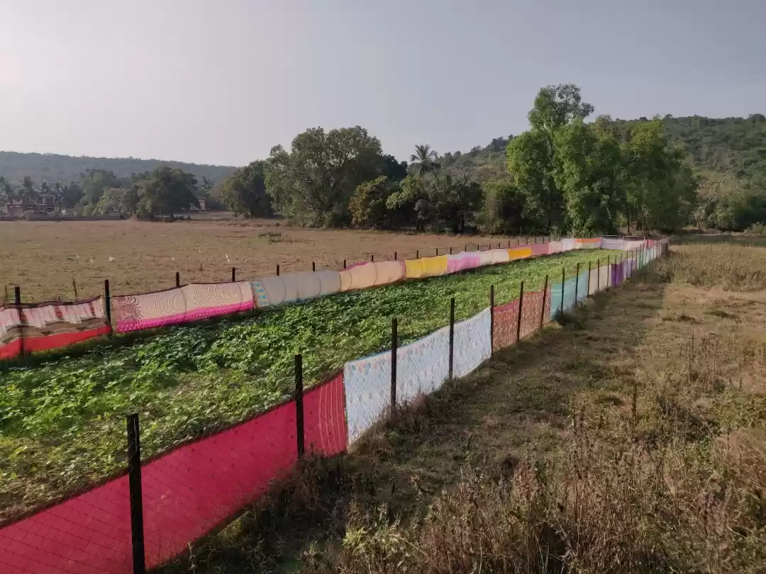 Photo of Regular life in the 