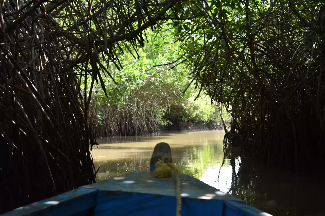 Photo of GONE WITH THE WIND!