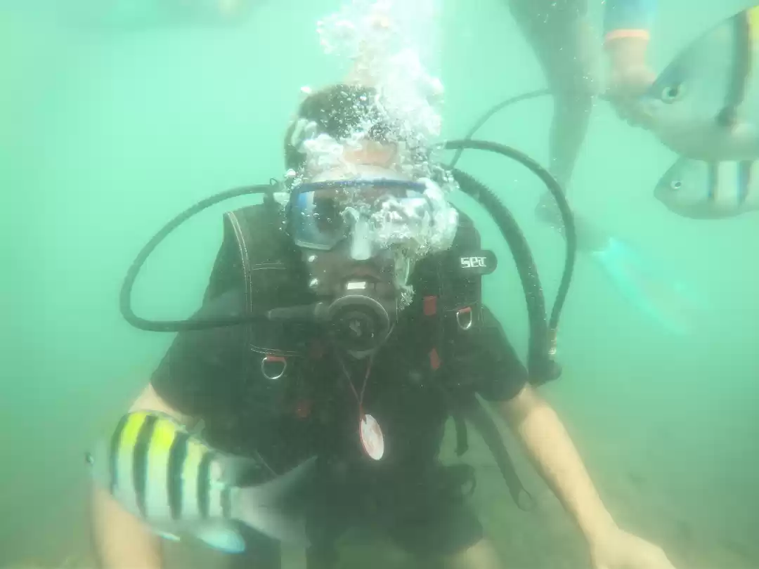 Photo of Goa - Scuba Diving |