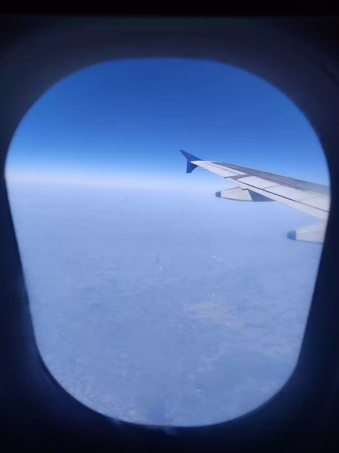 Photo of Hornbill is one of a