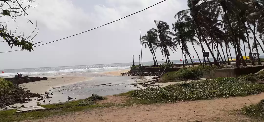Photo of Colva beach goa. 