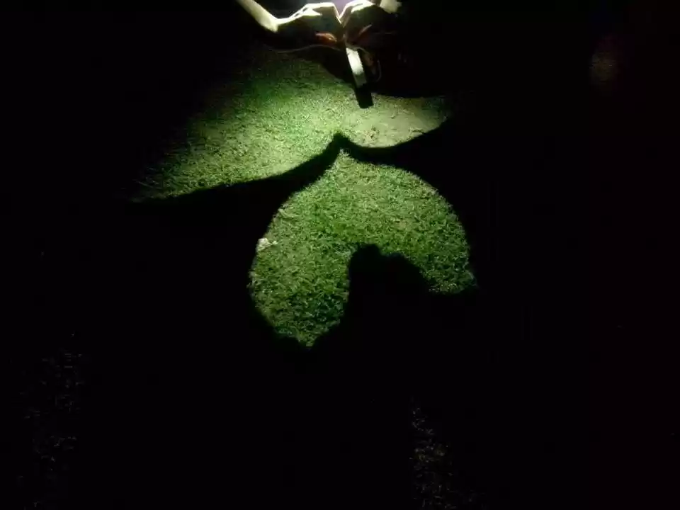 Photo of Nainital: A school t