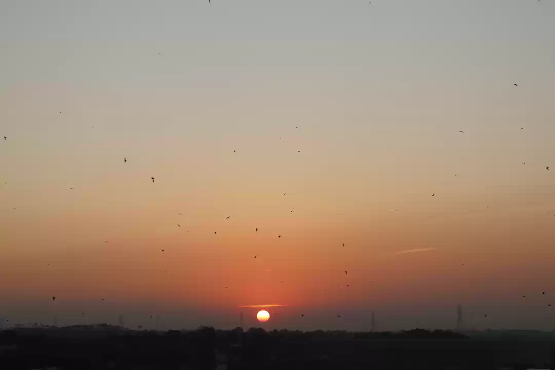 Photo of Random sunset pictur
